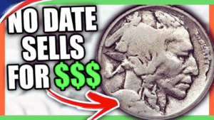 Rare Buffalo Nickel Make You Rich